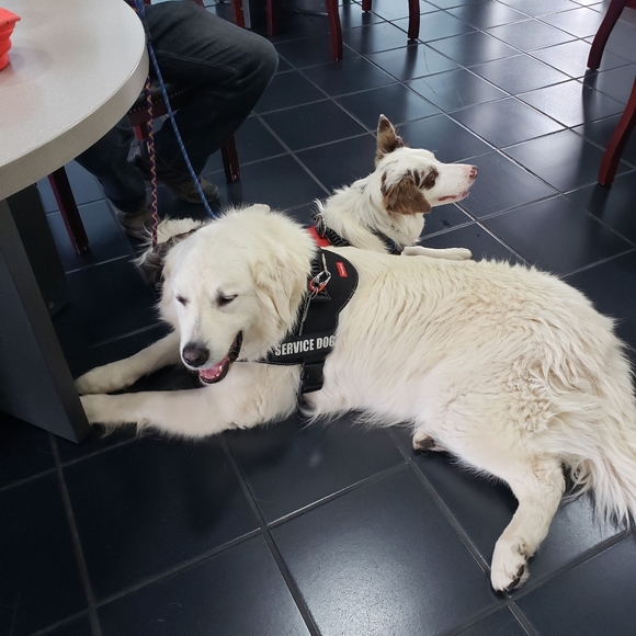 Meet your Posher, Tamara - Picture 11 of 11